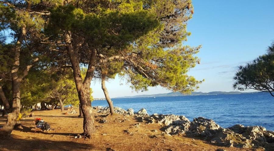 Grey House Zadar Daire Dış mekan fotoğraf